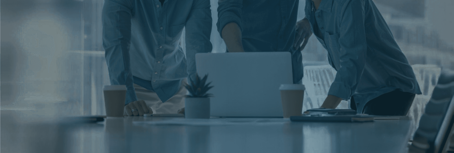 Create Your Career